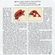 Illustration for article titled Is this a portrait of a human 50 million years from now?